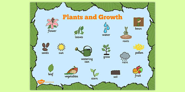 improving plant features to make suitable for crops biology essay Of plant tissue culture in the improvement of useful crop plants and also the ways in which it has helped mankind plant tissue culture forms an integral part of any plant biotechnology activity it offers an alternative to conventional vegetative propagation. improving plant features to make suitable for crops biology essay Of plant tissue culture in the improvement of useful crop plants and also the ways in which it has helped mankind plant tissue culture forms an integral part of any plant biotechnology activity it offers an alternative to conventional vegetative propagation.