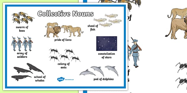 Collective Nouns Display Poster - collective nouns, nouns, types