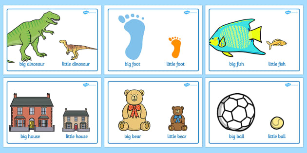 Big And Little Comparison Display Posters - big and little