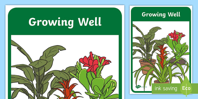 primary connections growing well pdf