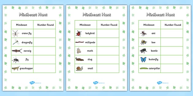 Minibeast Hunt Tally Sheet - minibeast hunt, minibeasts