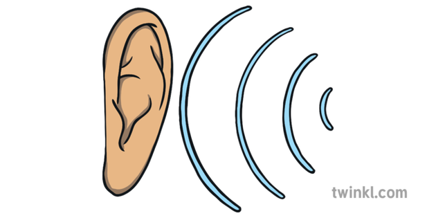 What Is Auditory Dyslexia Answered Twinkl Teaching Wiki