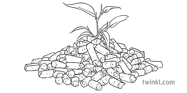 Biomass Black And White Illustration Twinkl