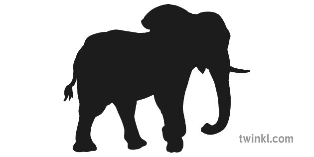 Elephant Silhouette Illustration Twinkl