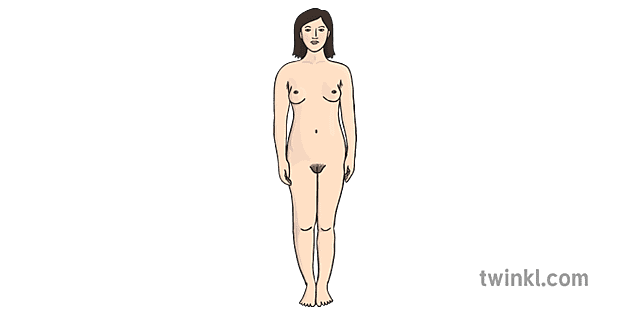 Pubertad Desnuda Mujer Dibujo