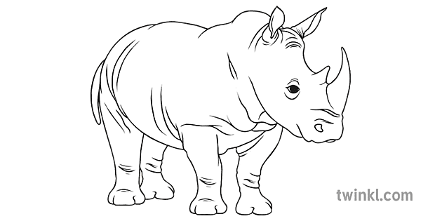 Nashorn Schwarz Weiß 1 Illustration Twinkl