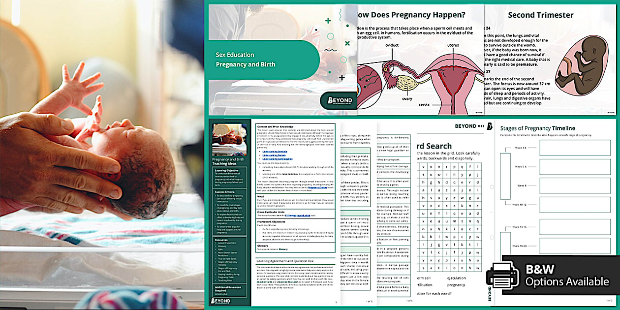 Pregnancy And Birth Lesson Pack Sex Education Beyond