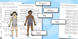 Body Parts Powerpoint Twinkl Primary Resources