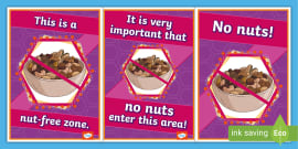 Editable Lunchtime Allergy Display Posters Teacher Made