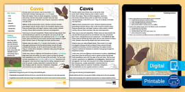 Caves Fact File KS2 Geography Erosion Teacher Made