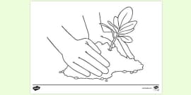 Free Planting Tree Colouring Sheet Teacher Made