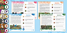 LKS2 The Amazon Rainforest Differentiated Comprehension