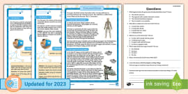 LKS2 Marie Curie Differentiated Reading Comprehension