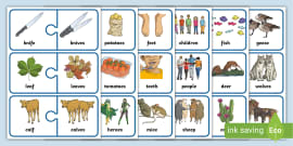 Fill In The Blank Worksheets Irregular Plurals Twinkl