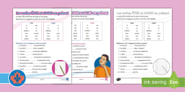 Fiche d information Conjuguer au présent teacher made