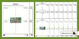 Biomes Matching Activity KS2 Teacher Made Twinkl