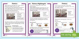 Florence Nightingale Timeline Worksheet Twinkl Resources