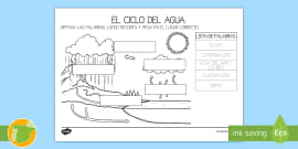 Ficha De Actividad De Atenci N A La Diversidad El Ciclo Del Agua