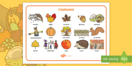 Il Cibo Vocabolario Illustrato Teacher Made Twinkl