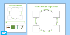 Lembar Kerja Siklus Hidup Bebek Teacher Made Twinkl