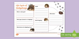 Apple Tree Life Cycle Fact File Template Teacher Made