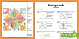 Photosynthesis KS2 Worksheet PDF Teacher Made Twinkl