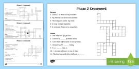 Phase 2 And 3 Phonics Crossword Teacher Made Twinkl