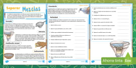 Ficha De Actividad Las Partes Del Microscopio Twinkl