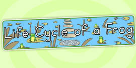 Life Cycle Of A Fish Display Banner Teacher Made Twinkl