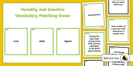 DNA Labeling Worksheet Teaching Resource Twinkl USA