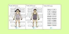 Sopa De Letras Las Partes Del Cuerpo Teacher Made