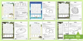 FREE Parts Of A Lizard Differentiated Worksheets Twinkl