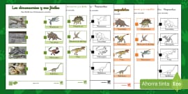 Tarjetas Informativas Los Dinosaurios Hecho Por Educadores