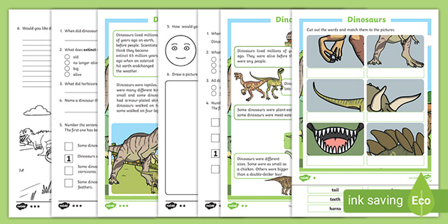 Lets Learn About Dinosaurs Reading Comprehension Twinkl