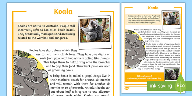 Koala Fact Sheet