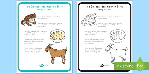 Oa Digraph Identification Story Teacher Made Twinkl Sexiz Pix