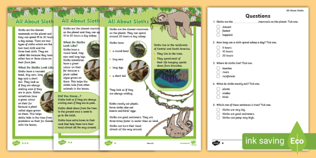 Ks All About Sloths Differentiated Reading Comprehension Activity