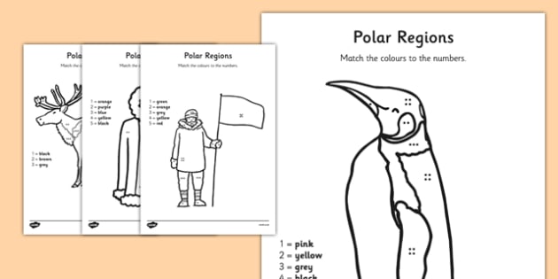 Polar Regions Colour By Number Counting Worksheet Worksheet