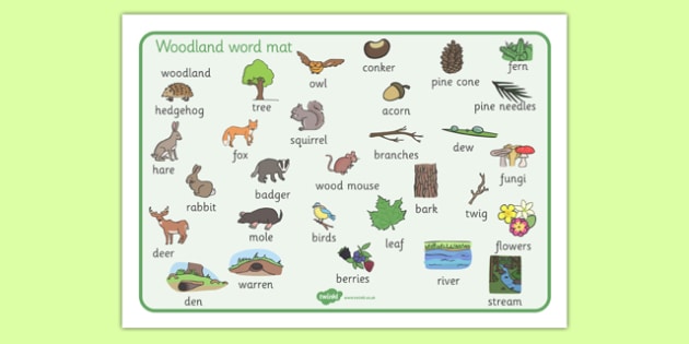 FREE Woodland Word Mat Teacher Made