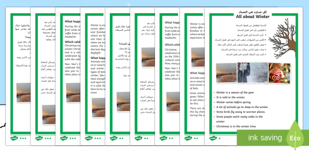 Winter Differentiated Reading Comprehension Activity Arabic English