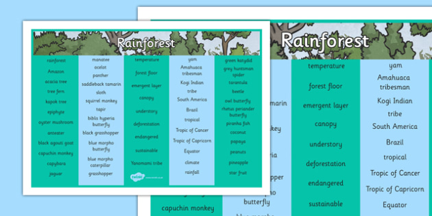 Rainforest Word Mat Teacher Made