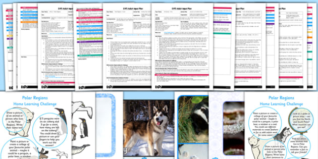 Eyfs Polar Regions Adult Input Planning And Resource Pack