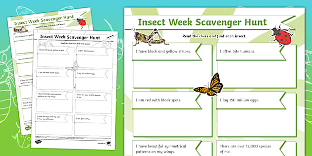 Insect Week Scavenger Hunt Teacher Made Twinkl