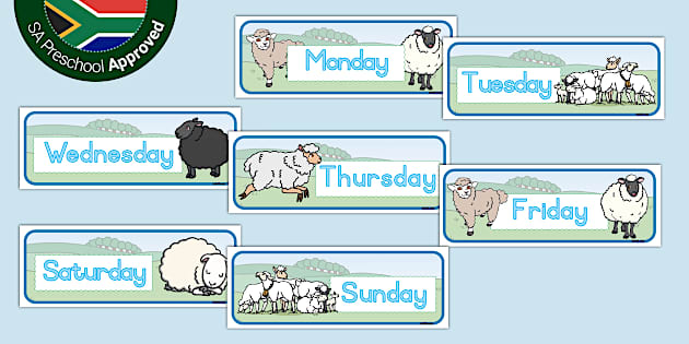 Sheep Themed Days Of The Week Cards Hecho Por Educadores