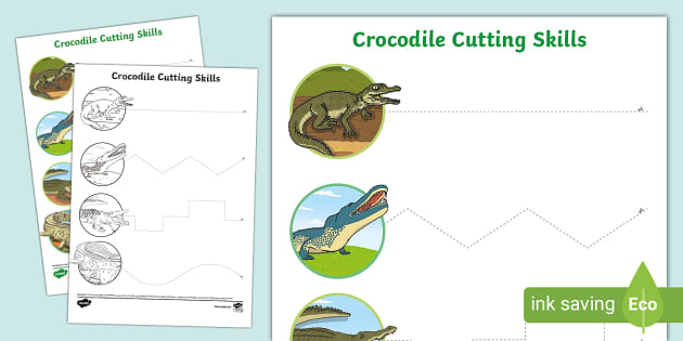 Crocodile Cutting Skills Activity Hecho Por Educadores