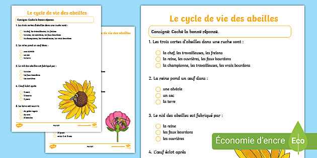 Quiz Le Cycle De Vie Des Abeilles Teacher Made Twinkl