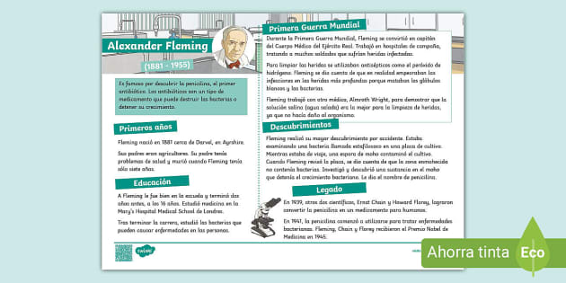 Hoja Informativa Alexander Fleming Teacher Made Twinkl