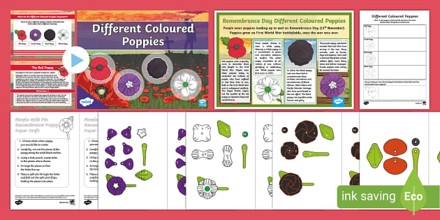 Ks Different Coloured Poppies Activity Pack Teacher Made