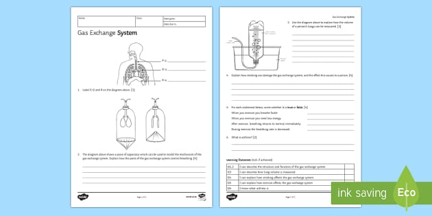 KS3 Gas Exchange Homework Worksheet Worksheet Twinkl