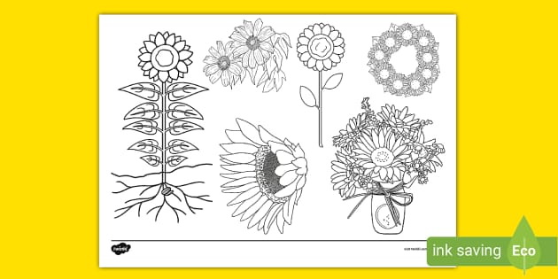 Sunflower Doodle Colouring Page Hecho Por Educadores